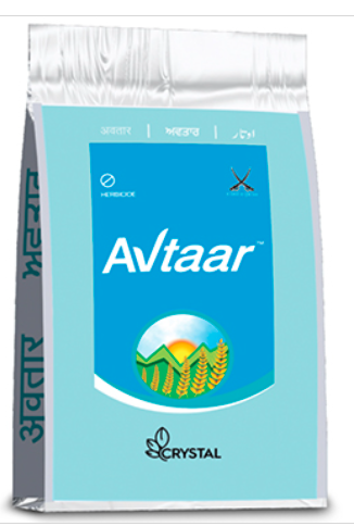 Avtaar