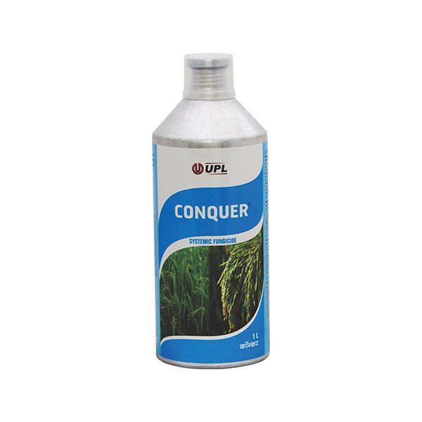 CONQUER