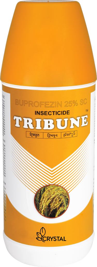 TRIBUNE