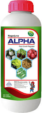 NAGARJUNA ALPHA