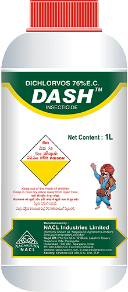 DASH