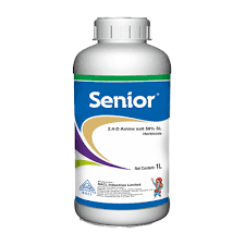 SENIOR