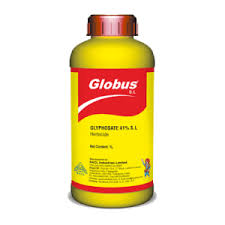 GLOBUS