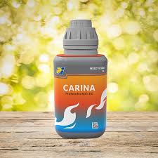 CARINA