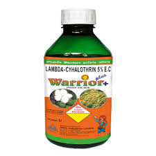 WARRIOR PLUS