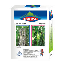SURYA