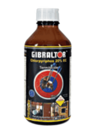 Gibraltor