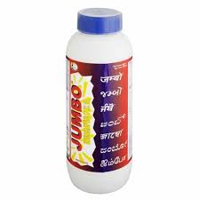 JUMBO