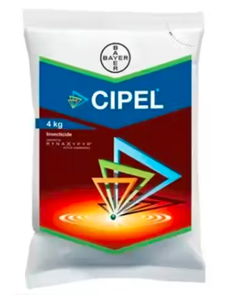 Cipel