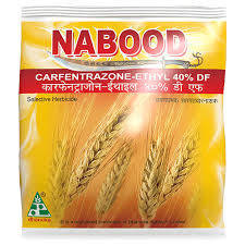NABOOD