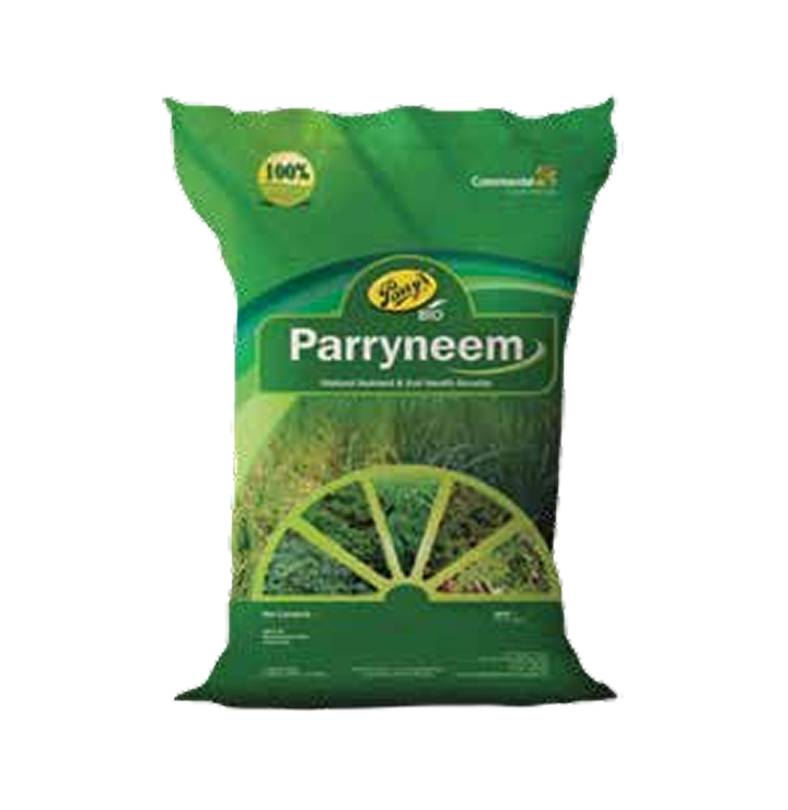 Parryneem Cake