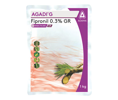 AGADI G