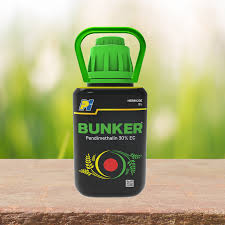 Bunker