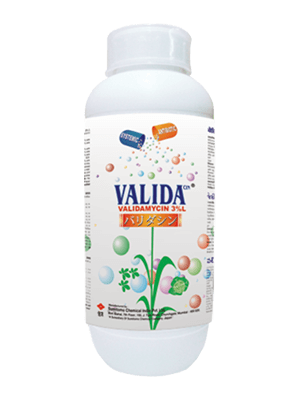Validacin