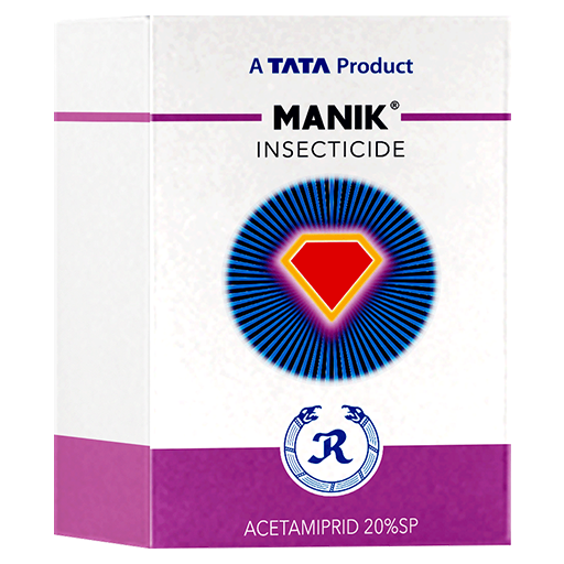 Tata Manik
