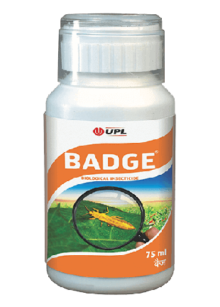 BADGE