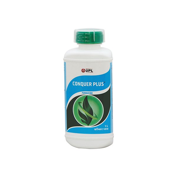 CONQUER PLUS
