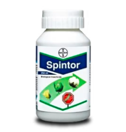 Spintor