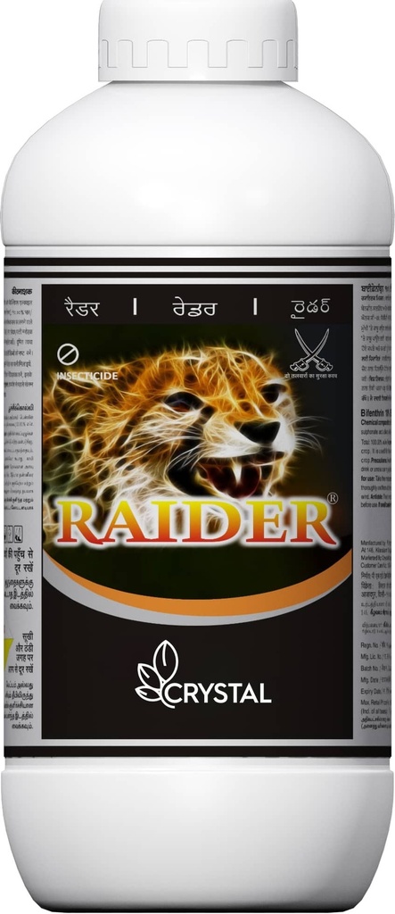 RAIDER
