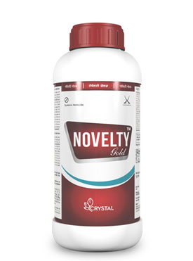 NOVELTY GOLD