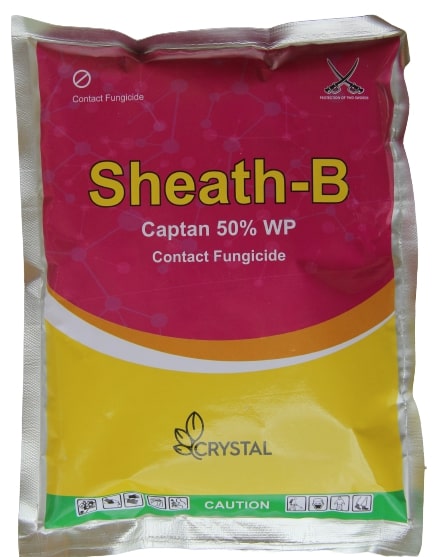 SHEATH-B