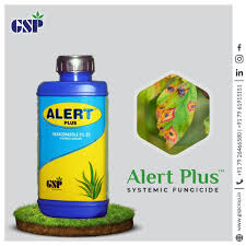 Alert Plus