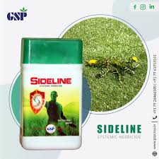 Side Line