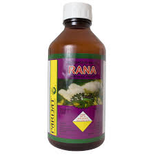 Rana