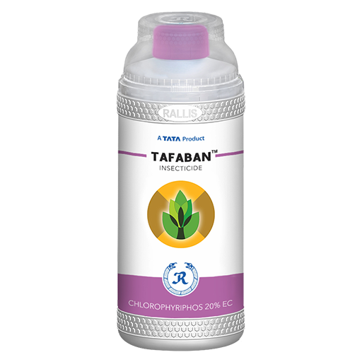 TAFABAN
