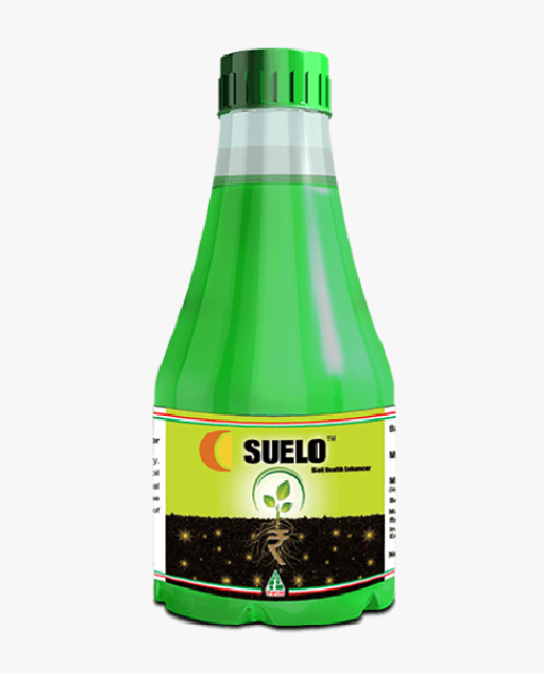 Suelo