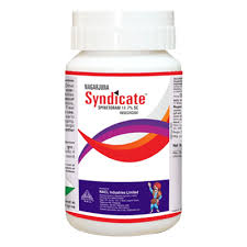 SYNDICATE