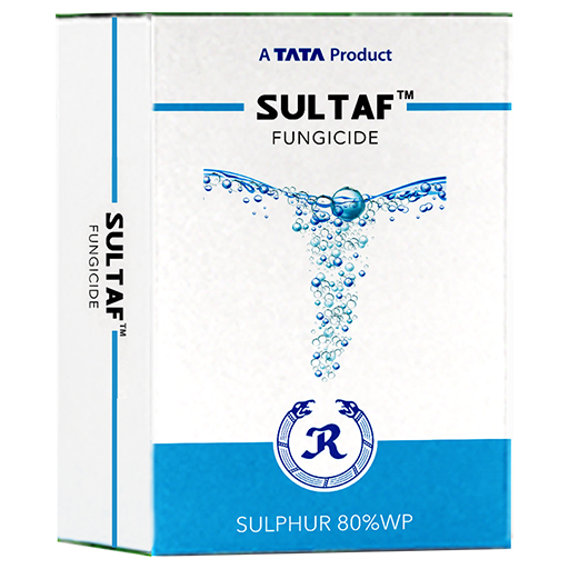 Sultaf