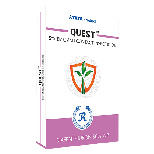 Quest