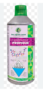 Propique