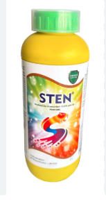 Sten