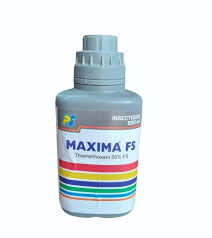 Maxima FS