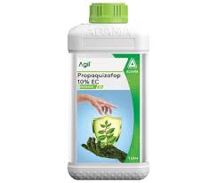 AGIL