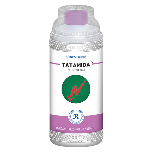 Tatamida