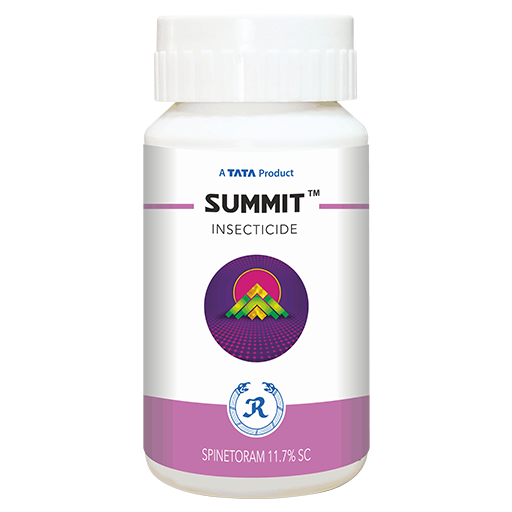 SUMMIT