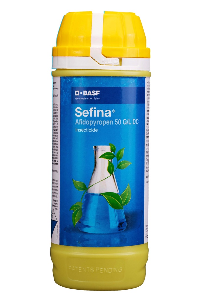 SEFINA