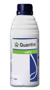 QUANTIS