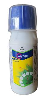  VAYEGO