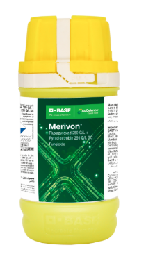 MERIVON