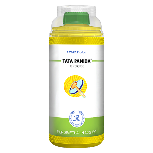TATA PANIDA