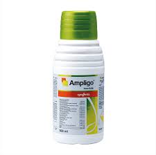 AMPLIOGO