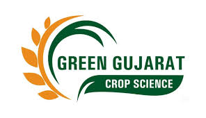 GREEN GUJRAT MONSTAR