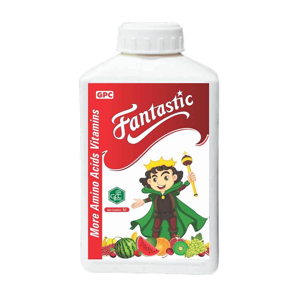 FANTASTIC(B2R)