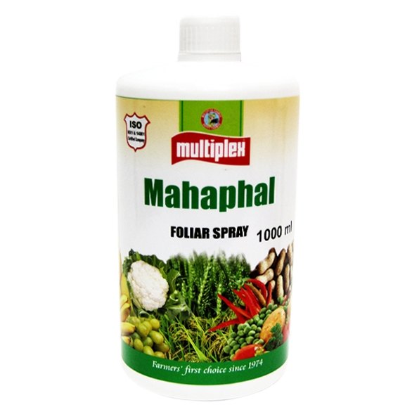 MAHAPHAL