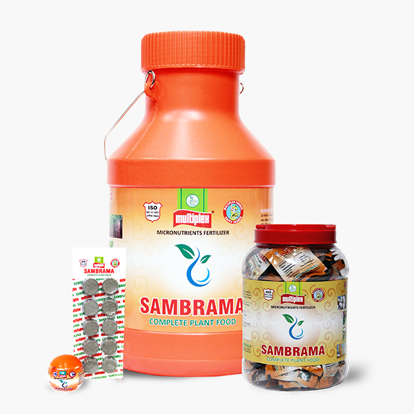 SAMBRAMA