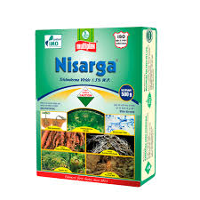 NISARGA (GR)